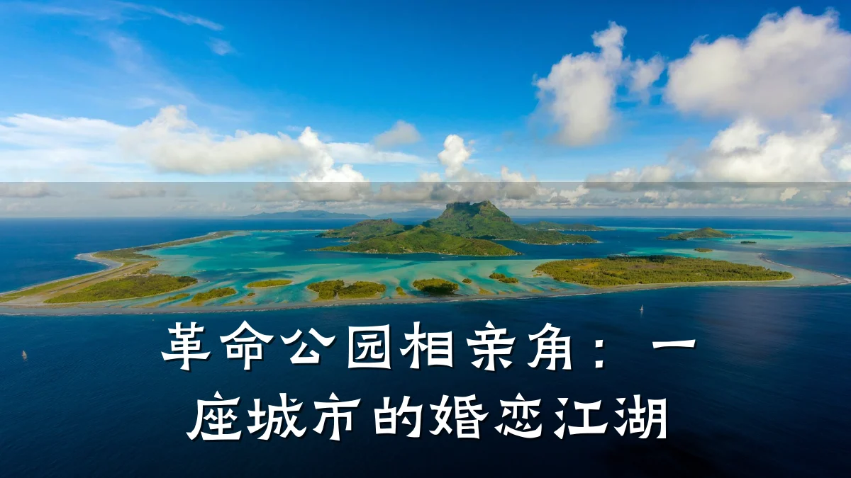革命公园相亲角:一座城市的婚恋江湖