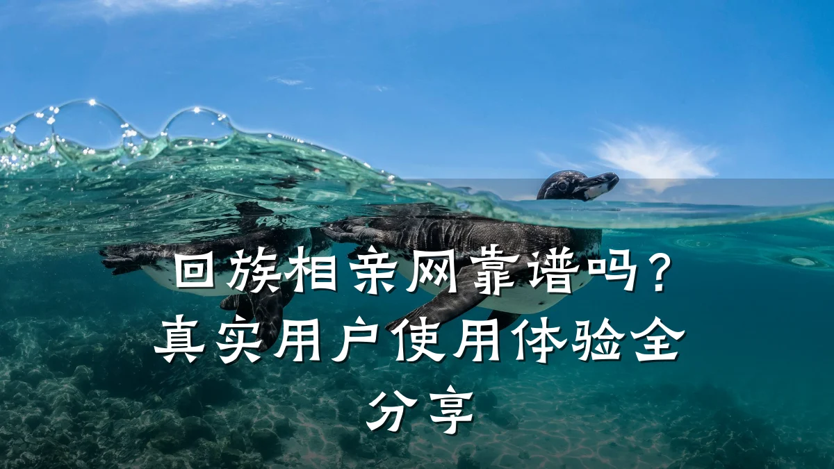 回族相亲网靠谱吗?真实用户使用体验全分享