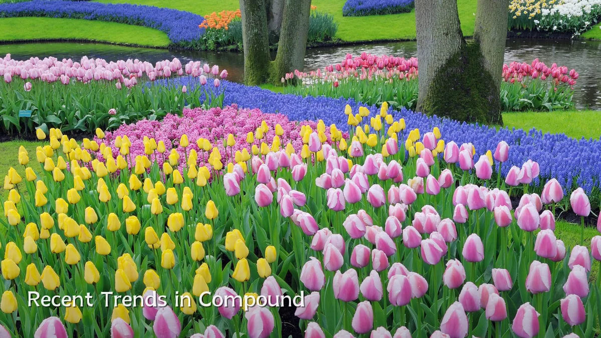 Recent Trends in Compound
