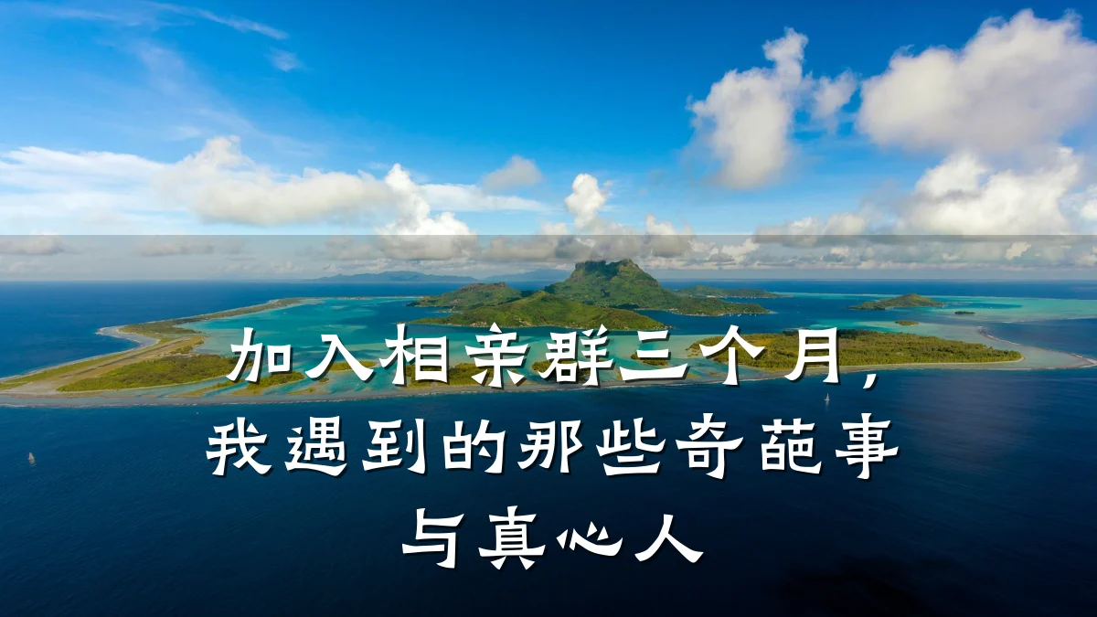 加入相亲群三个月,我遇到的那些奇葩事与真心人