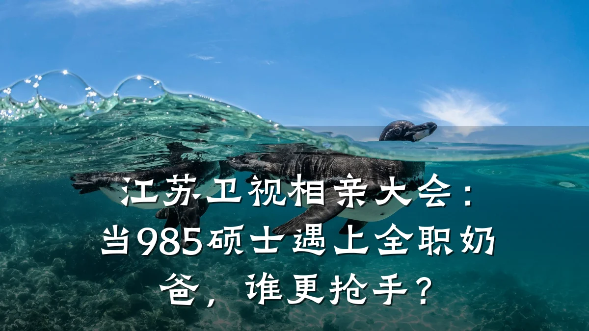 江苏卫视相亲大会:当985硕士遇上全职奶爸,谁更抢手?