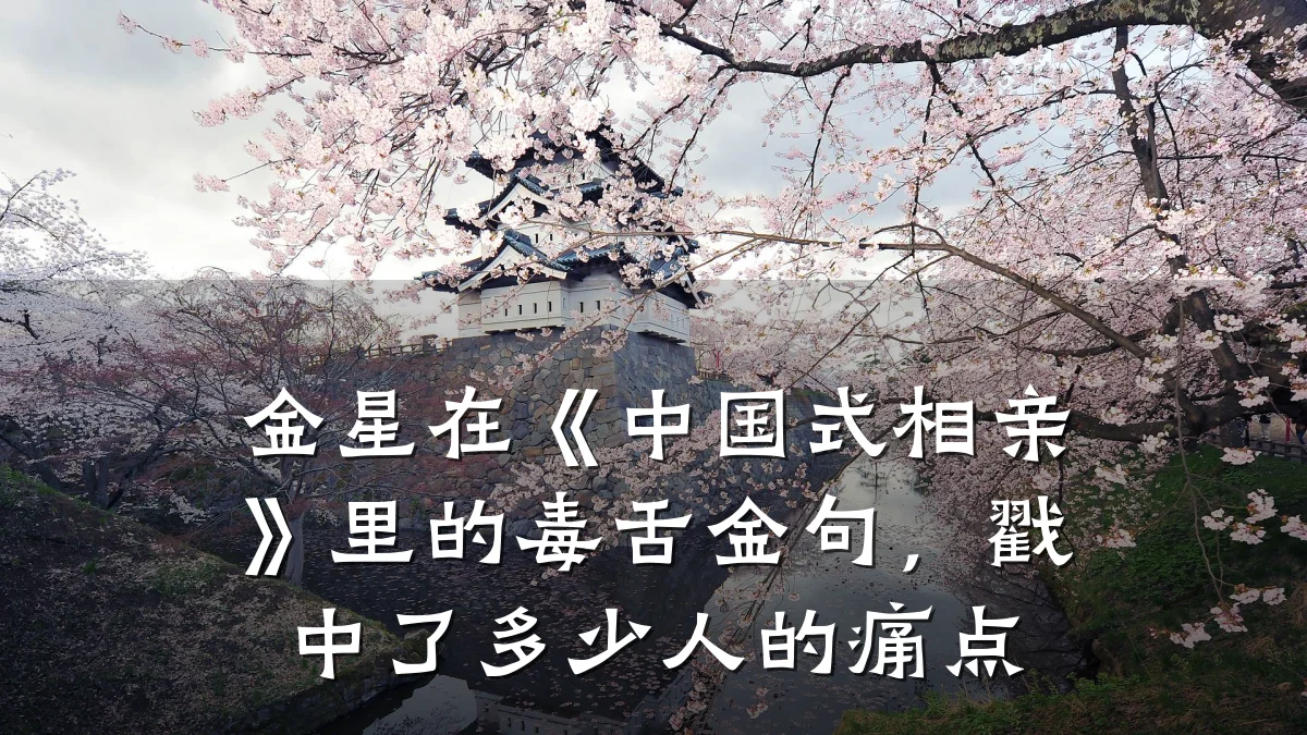 金星在《中国式相亲》里的毒舌金句,戳中了多少人的痛点