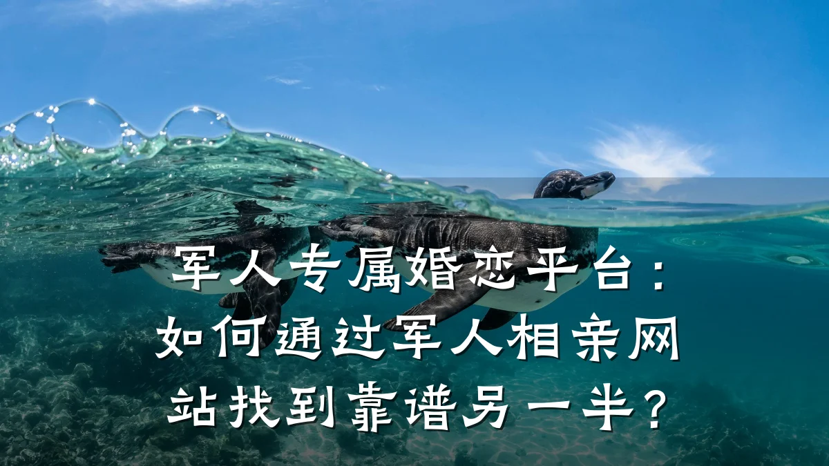 军人专属婚恋平台:如何通过军人相亲网站找到靠谱另一半?
