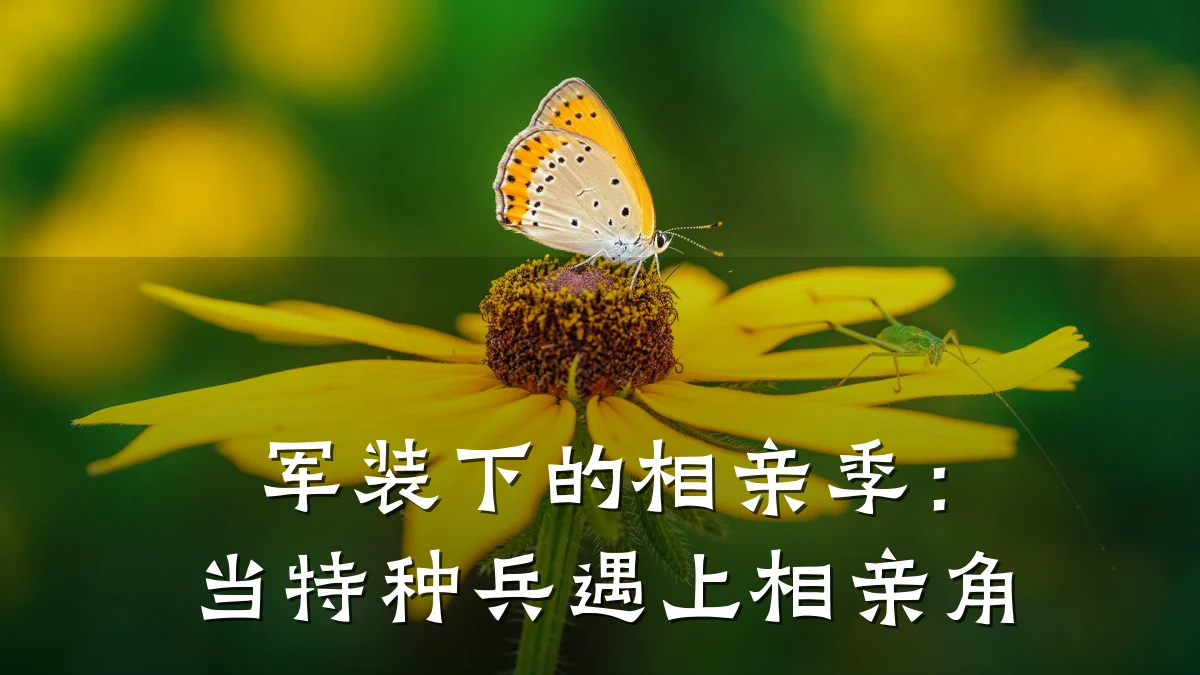 军装下的相亲季:当特种兵遇上相亲角