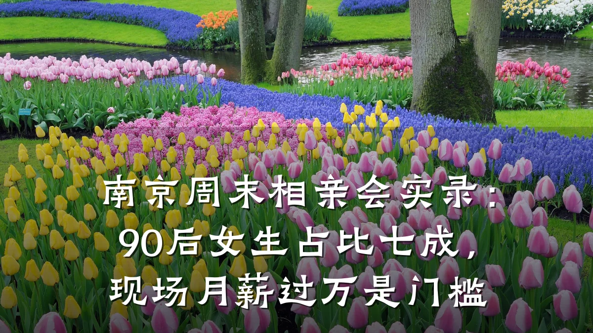 南京周末相亲会实录:90后女生占比七成,现场月薪过万是门槛
