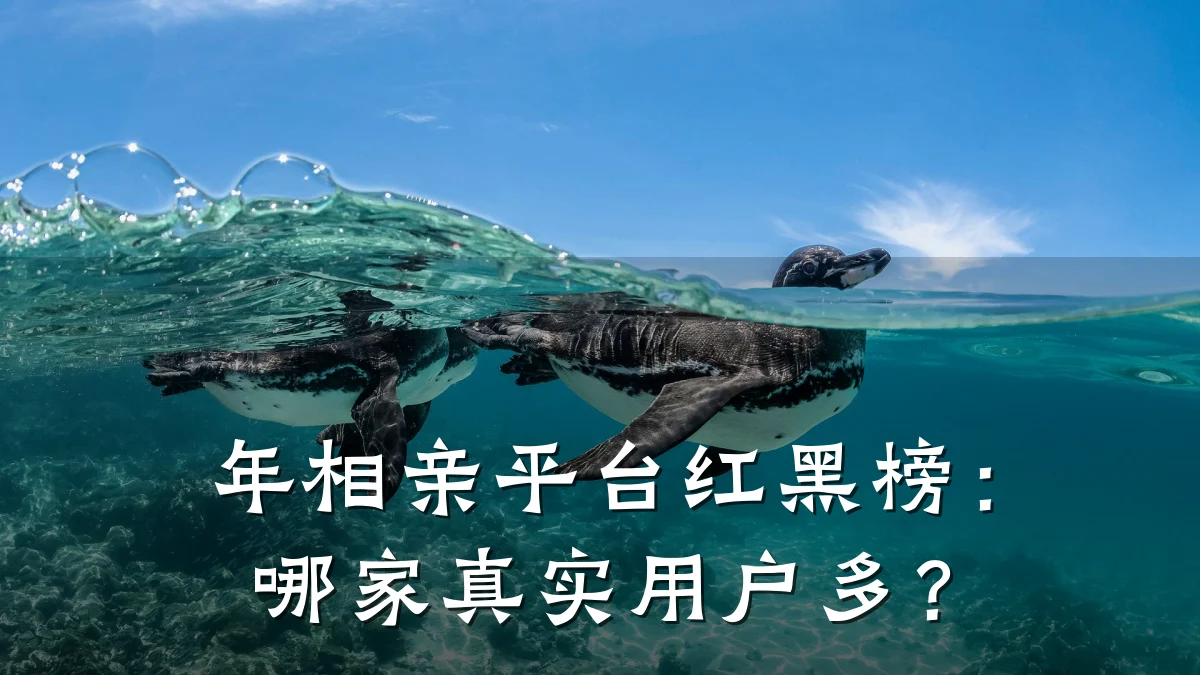 年相亲平台红黑榜:哪家真实用户多?