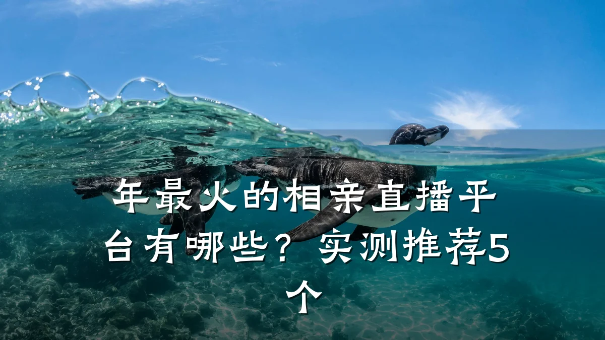 年最火的相亲直播平台有哪些?实测推荐5个