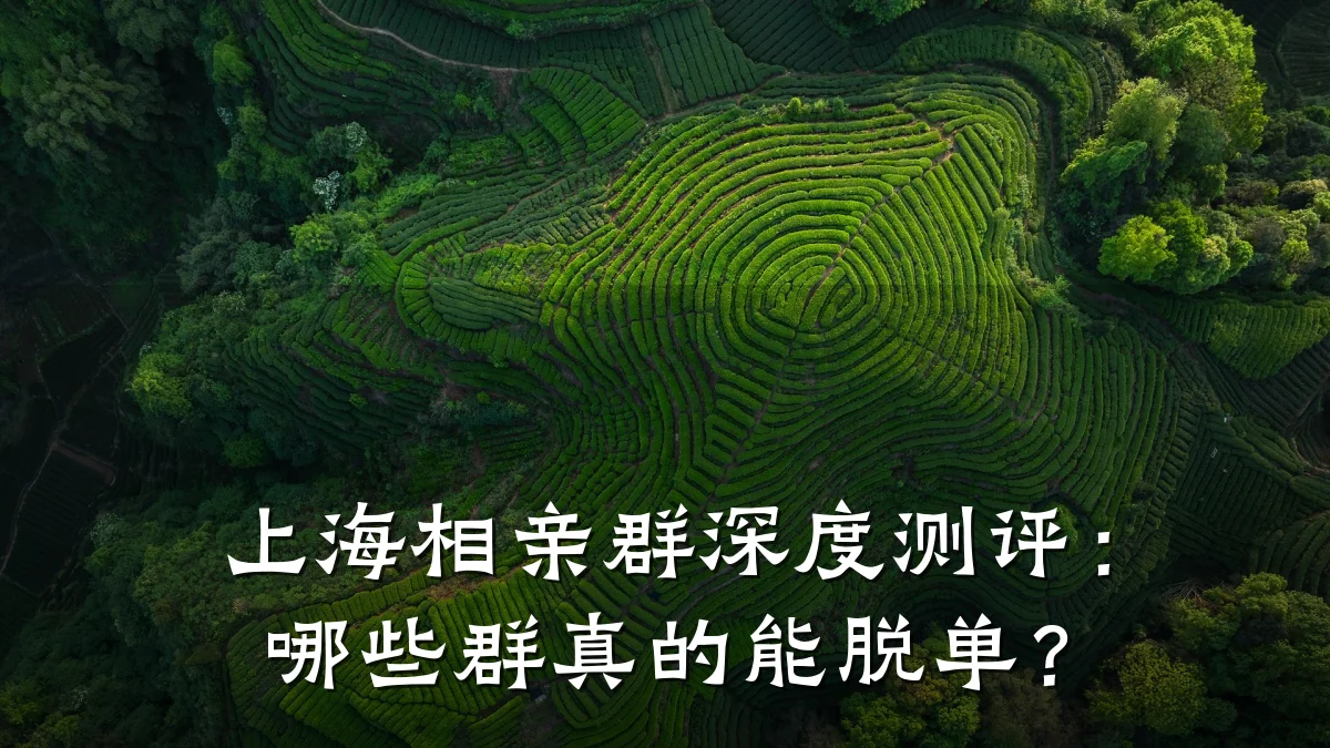 上海相亲群深度测评:哪些群真的能脱单?
