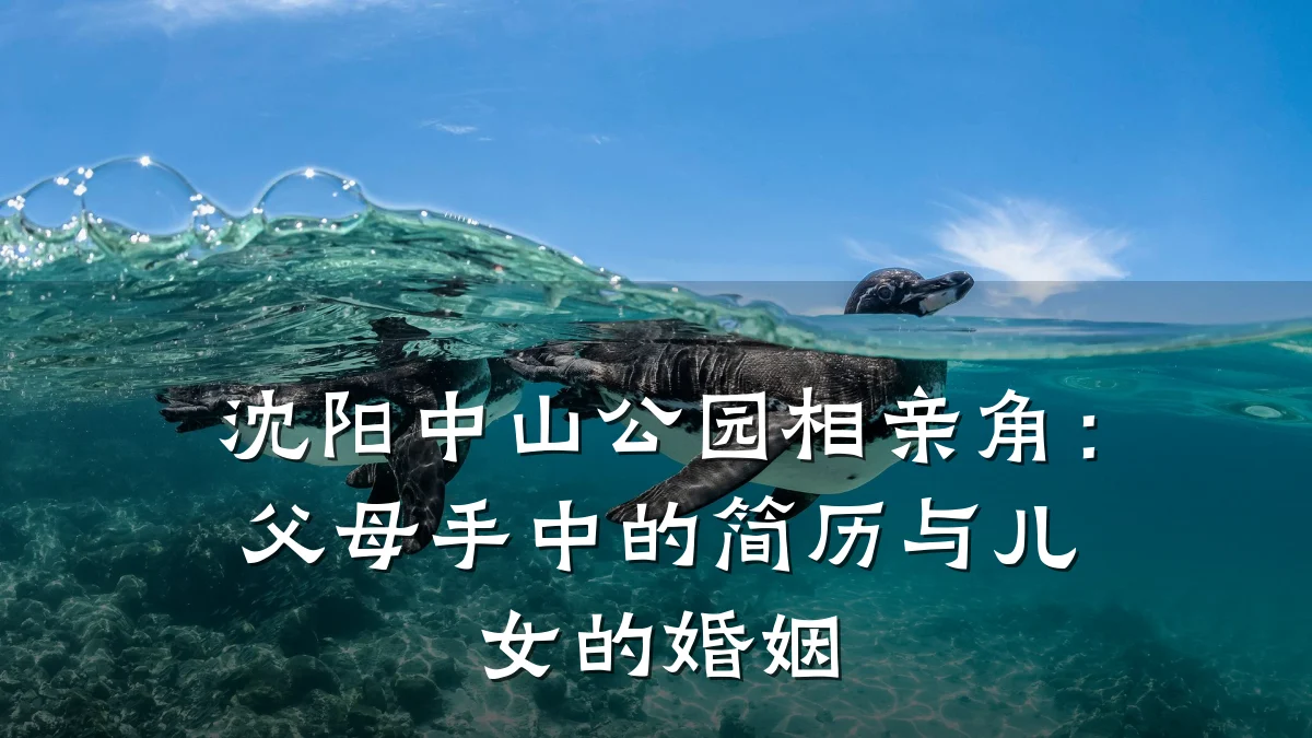 沈阳中山公园相亲角:父母手中的简历与儿女的婚姻
