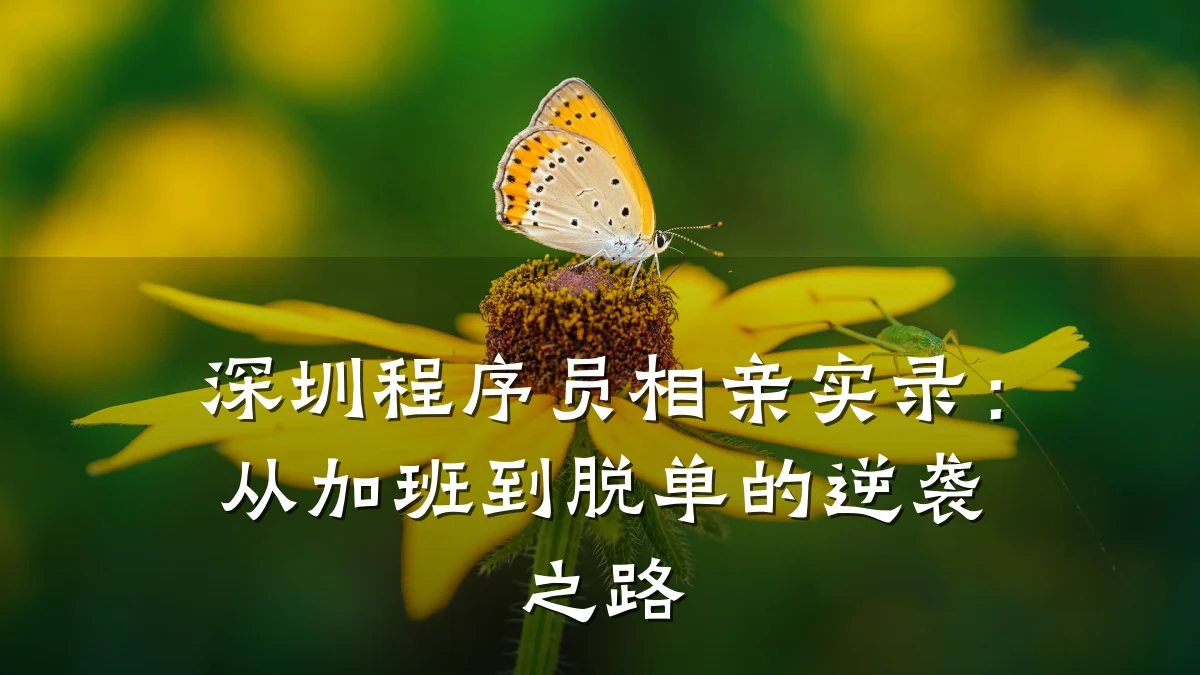 深圳程序员相亲实录:从加班到脱单的逆袭之路