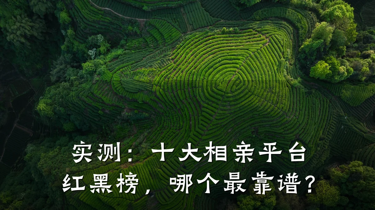 实测:十大相亲平台红黑榜,哪个最靠谱?