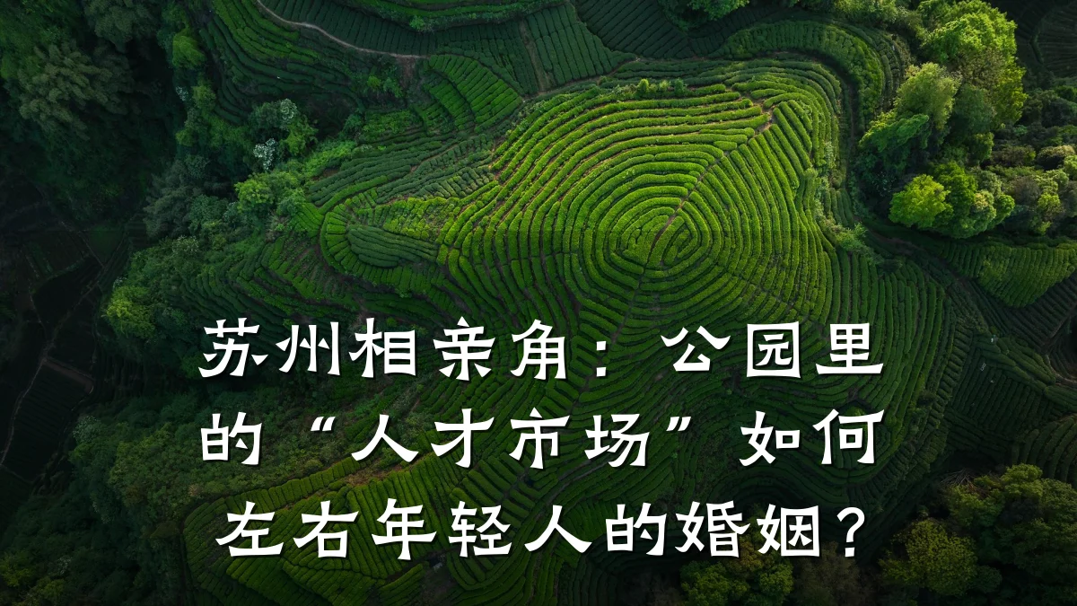 苏州相亲角:公园里的“人才市场”如何左右年轻人的婚姻?