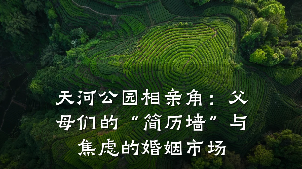 天河公园相亲角:父母们的“简历墙”与焦虑的婚姻市场