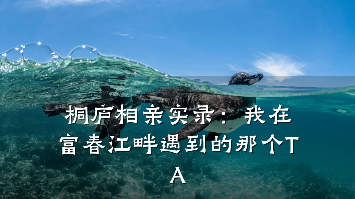 桐庐相亲实录:我在富春江畔遇到的那个TA