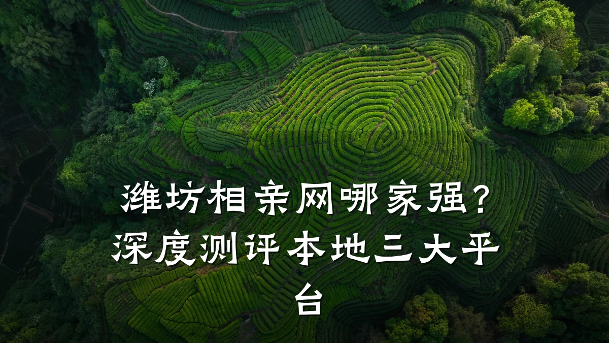 潍坊相亲网哪家强?深度测评本地三大平台