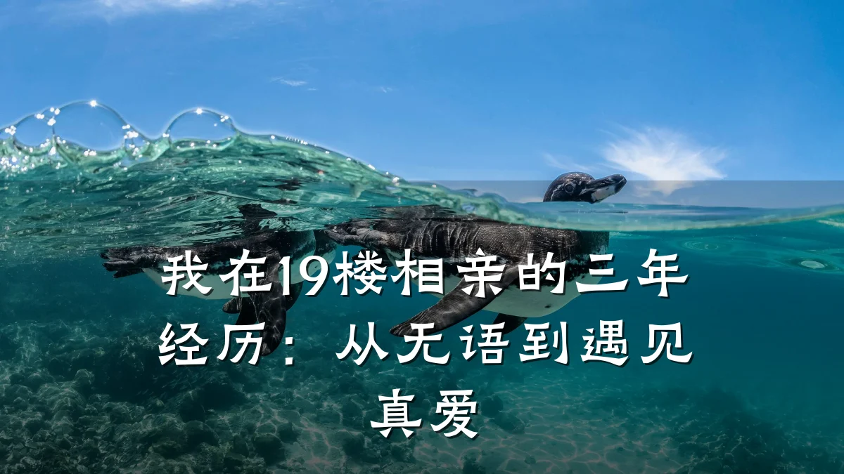 我在19楼相亲的三年经历:从无语到遇见真爱