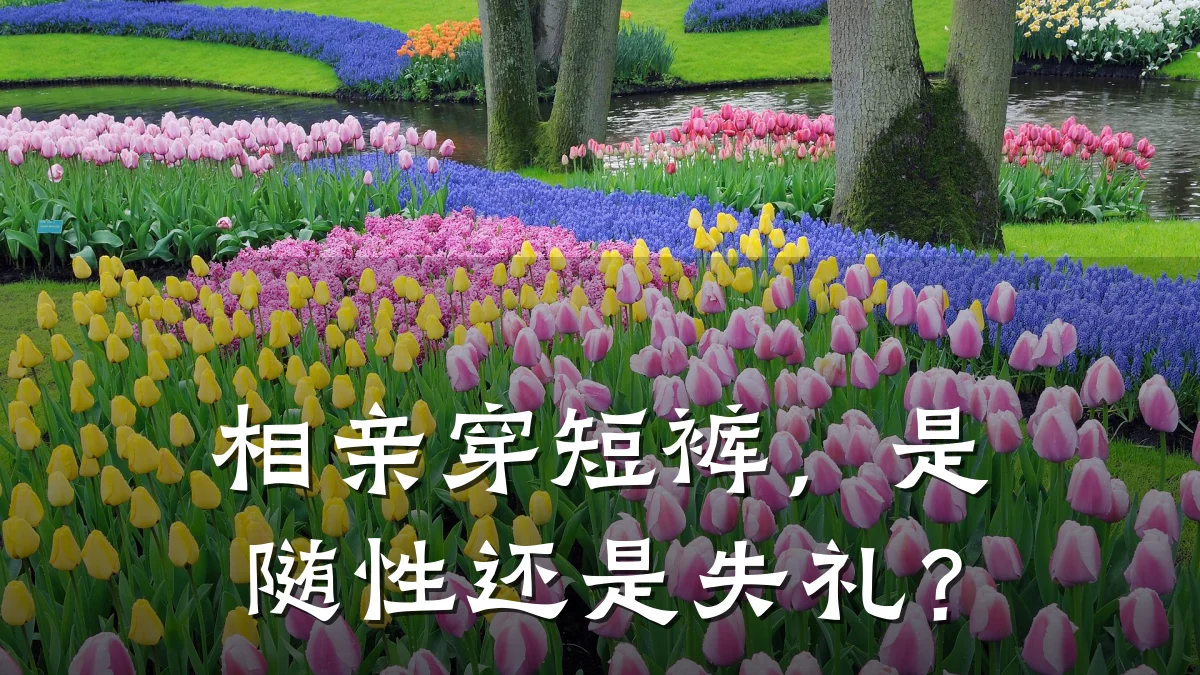相亲穿短裤,是随性还是失礼?