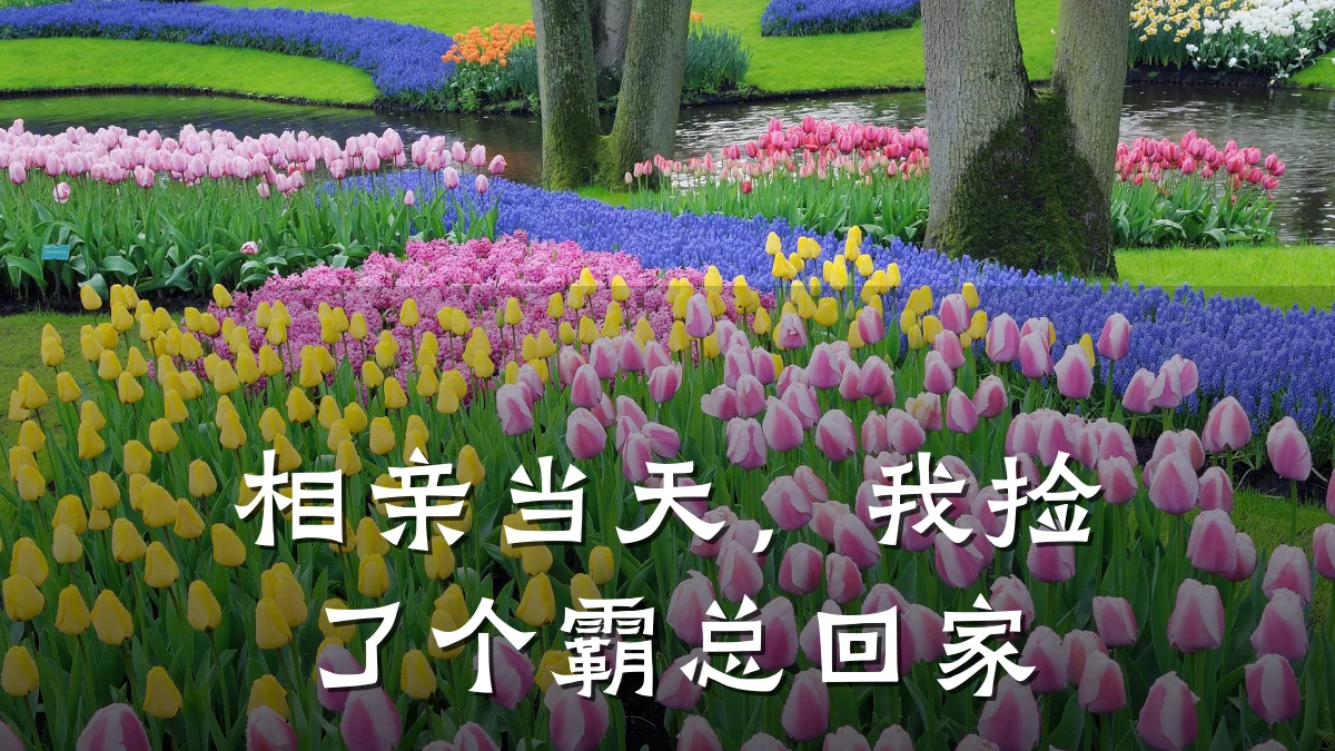 相亲当天,我捡了个霸总回家
