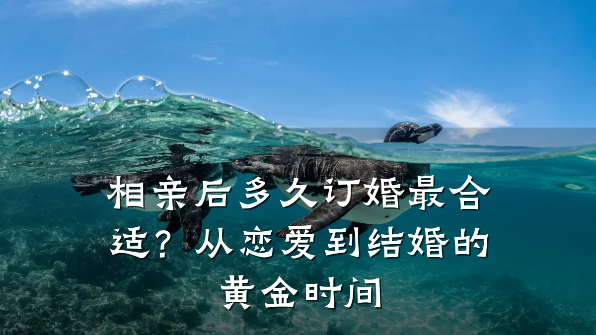 相亲后多久订婚最合适?从恋爱到结婚的黄金时间