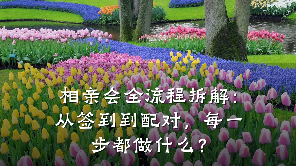 相亲会全流程拆解:从签到到配对,每一步都做什么?