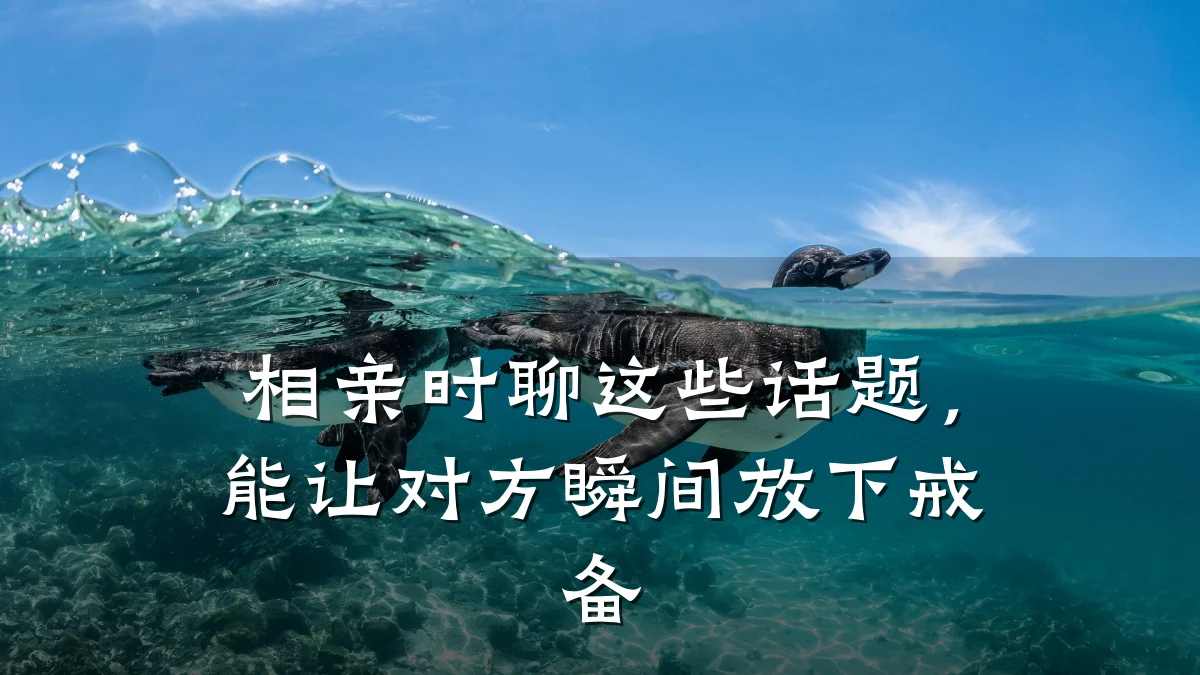 相亲时聊这些话题,能让对方瞬间放下戒备