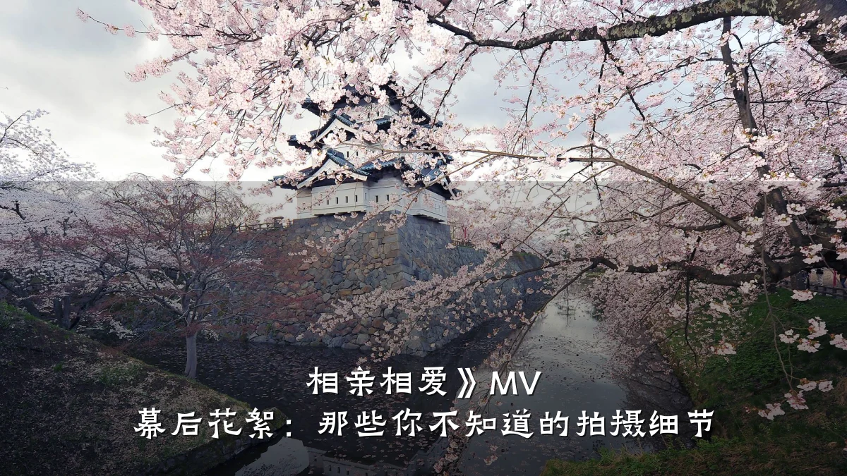相亲相爱》MV 幕后花絮:那些你不知道的拍摄细节