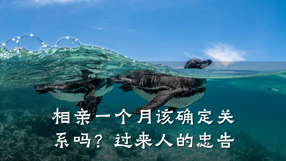 相亲一个月该确定关系吗?过来人的忠告