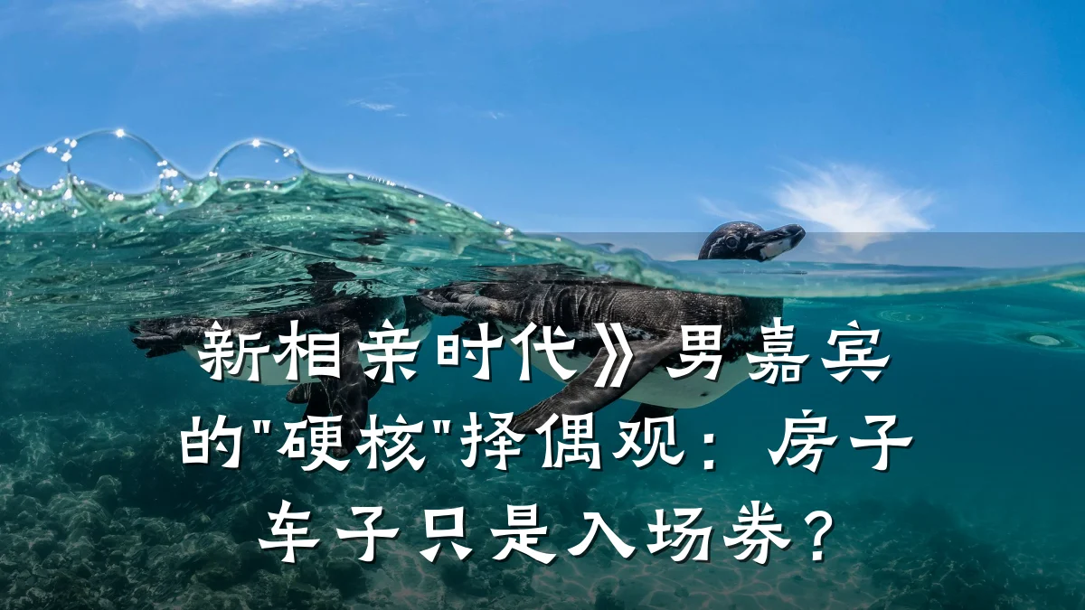 新相亲时代》男嘉宾的"硬核"择偶观:房子车子只是入场券?