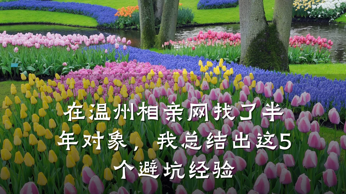 在温州相亲网找了半年对象,我总结出这5个避坑经验