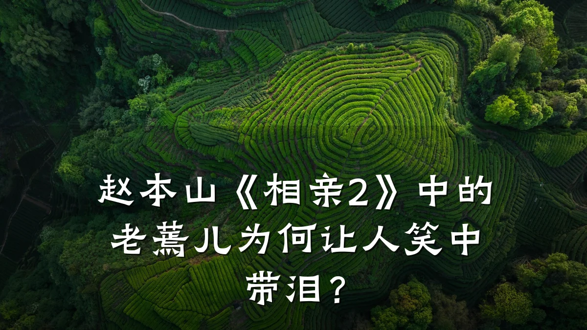 赵本山《相亲2》中的老蔫儿为何让人笑中带泪?