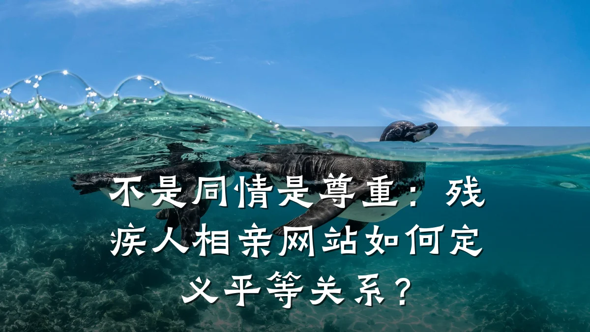 不是同情是尊重:残疾人相亲网站如何定义平等关系?