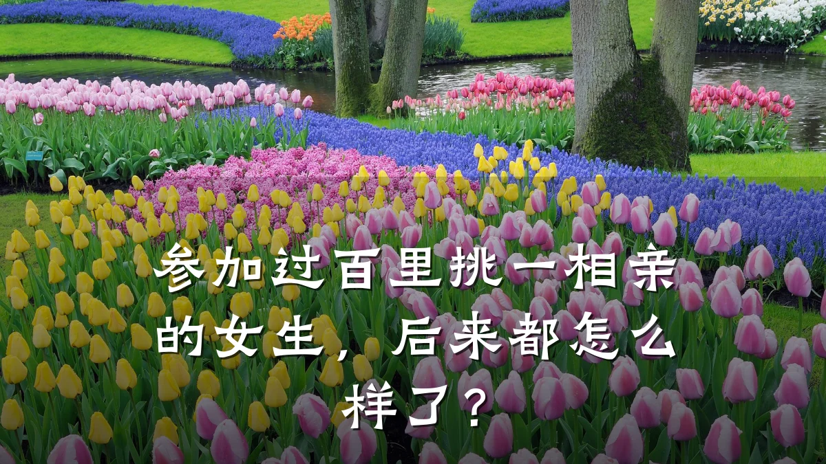 参加过百里挑一相亲的女生,后来都怎么样了?