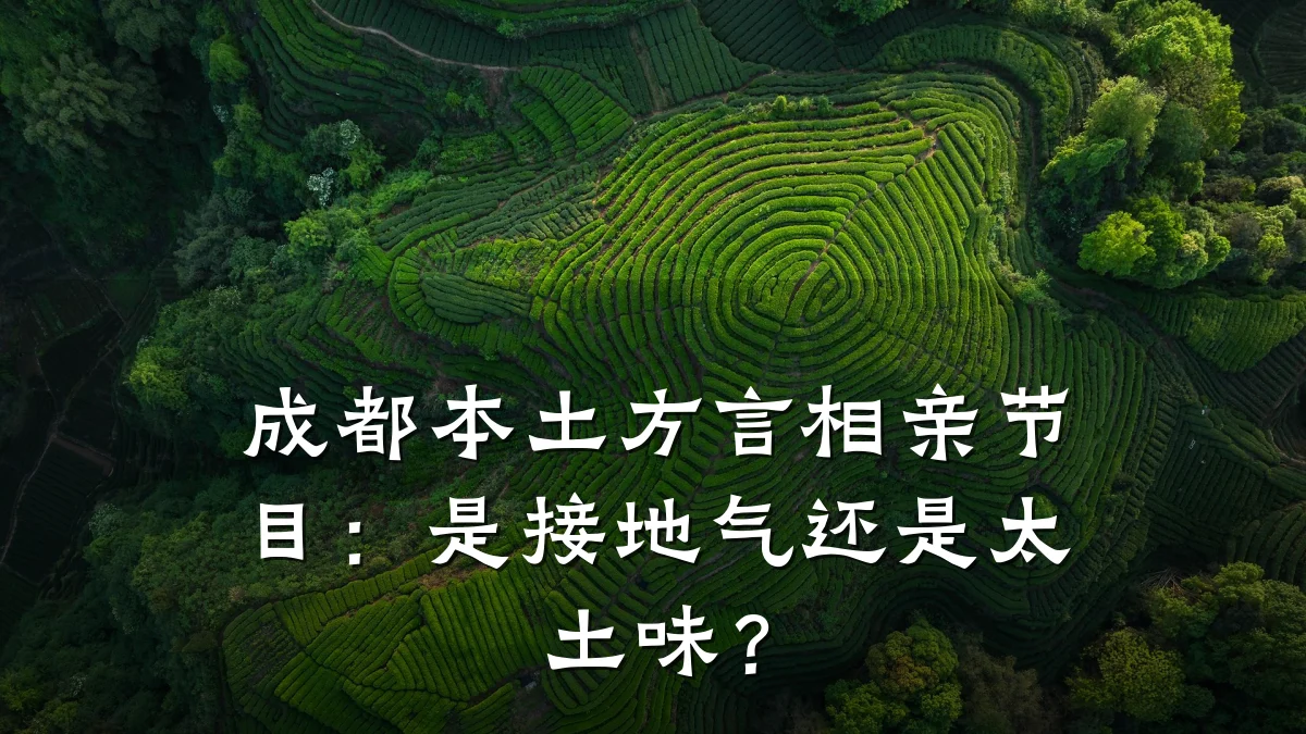 成都本土方言相亲节目:是接地气还是太土味?