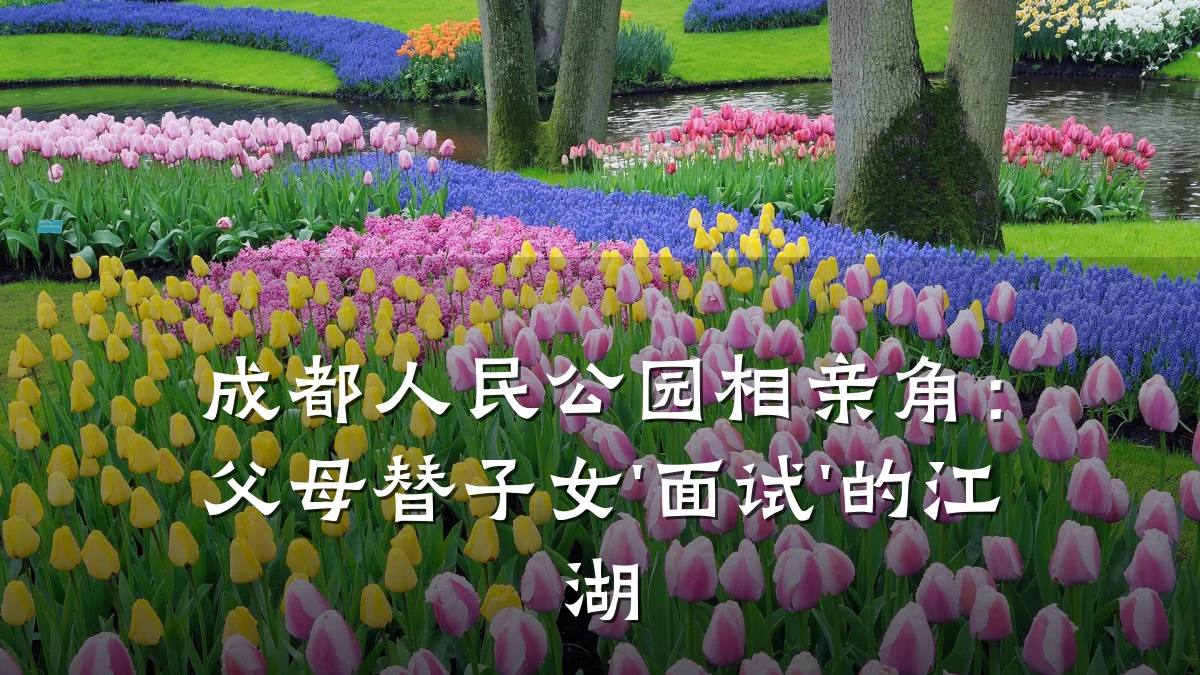 成都人民公园相亲角:父母替子女'面试'的江湖