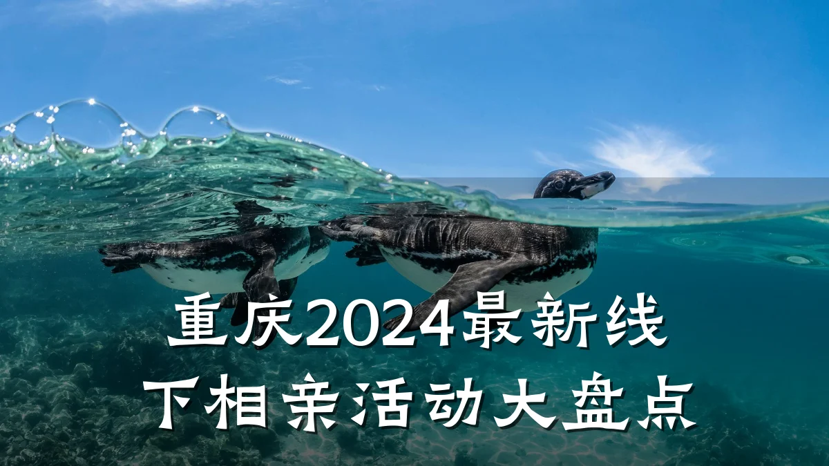 重庆2024最新线下相亲活动大盘点