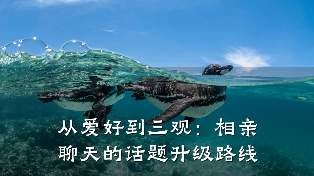 从爱好到三观:相亲聊天的话题升级路线
