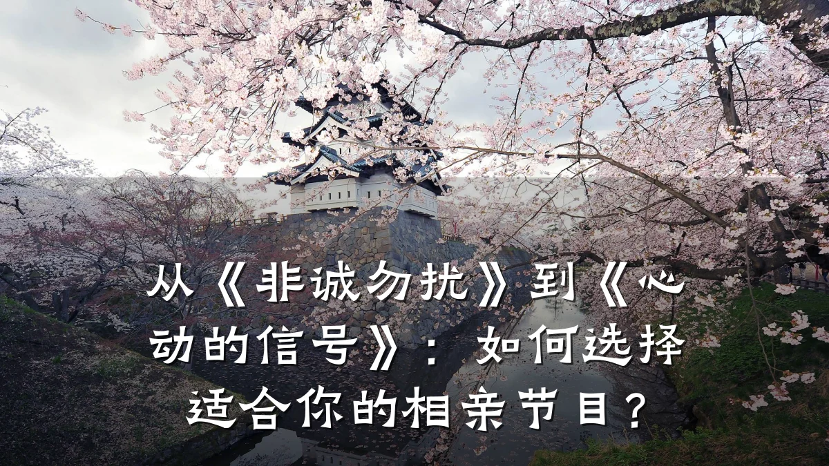 从《非诚勿扰》到《心动的信号》:如何选择适合你的相亲节目?