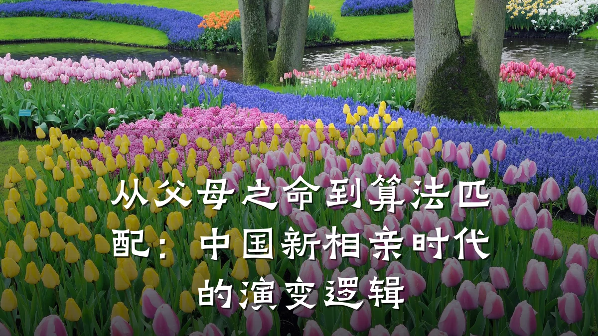 从父母之命到算法匹配:中国新相亲时代的演变逻辑