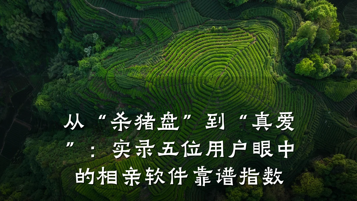 从“杀猪盘”到“真爱”:实录五位用户眼中的相亲软件靠谱指数