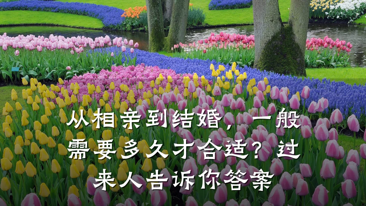 从相亲到结婚,一般需要多久才合适?过来人告诉你答案