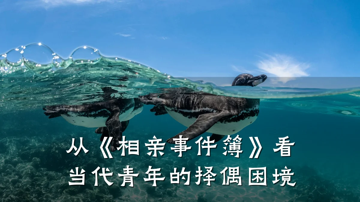 从《相亲事件簿》看当代青年的择偶困境