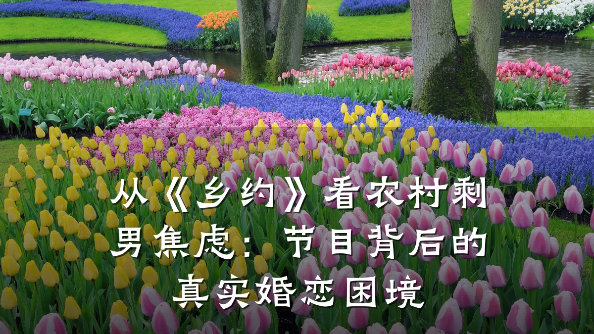 从《乡约》看农村剩男焦虑:节目背后的真实婚恋困境