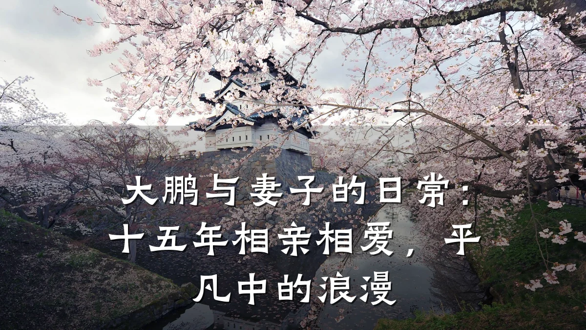 大鹏与妻子的日常:十五年相亲相爱,平凡中的浪漫
