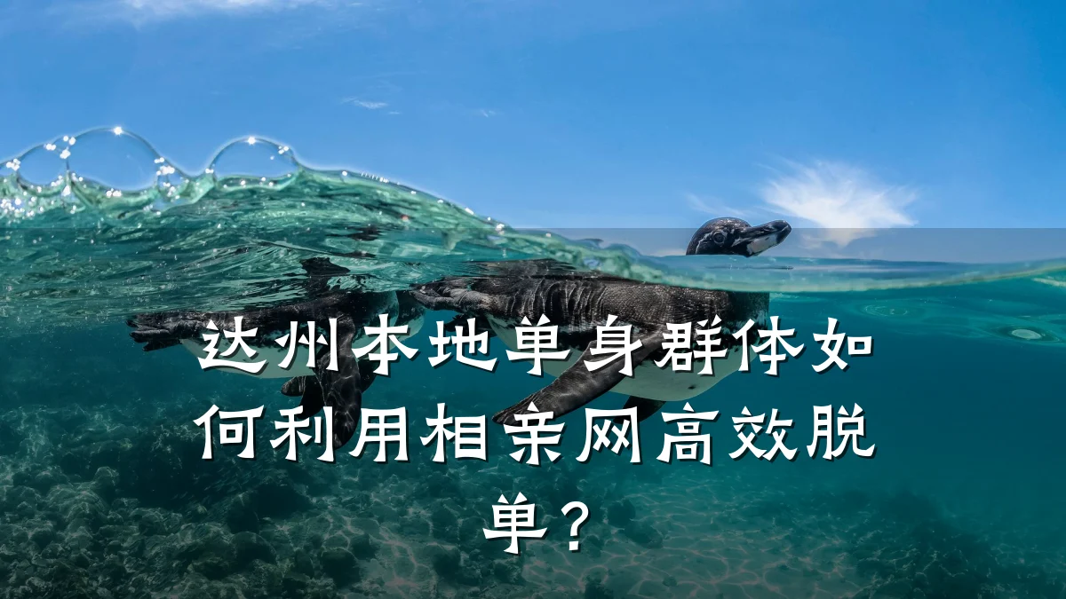 达州本地单身群体如何利用相亲网高效脱单?