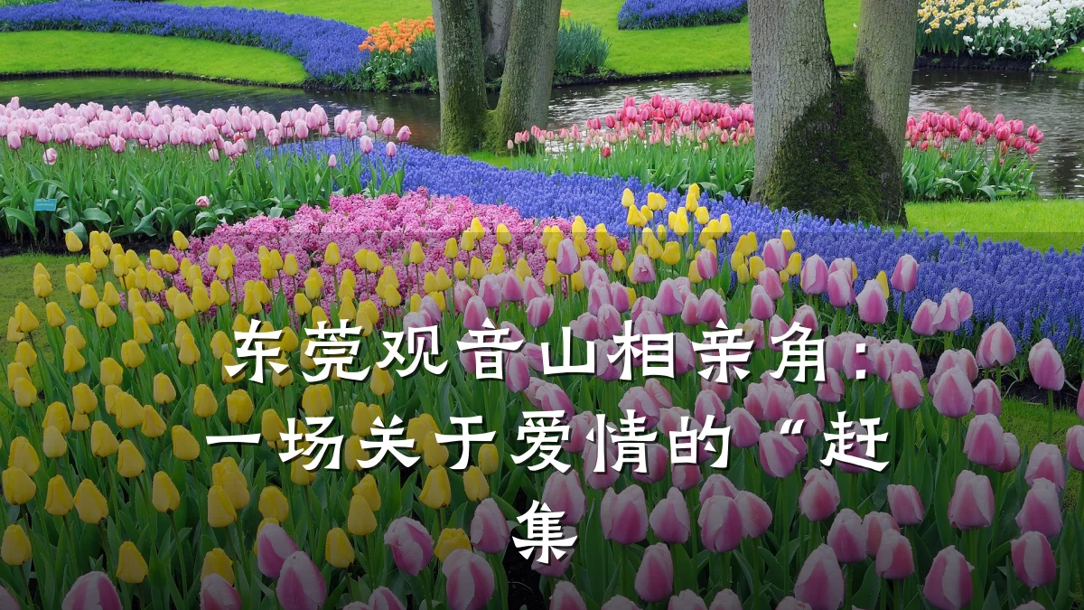 东莞观音山相亲角:一场关于爱情的“赶集