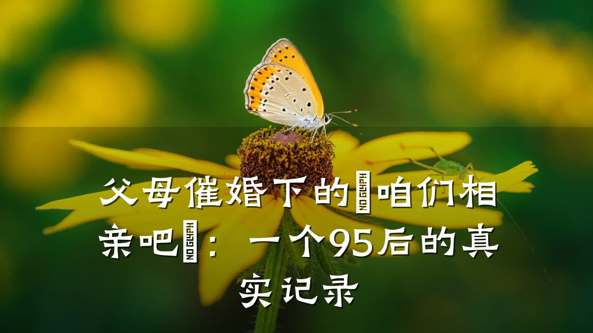 父母催婚下的"咱们相亲吧":一个95后的真实记录