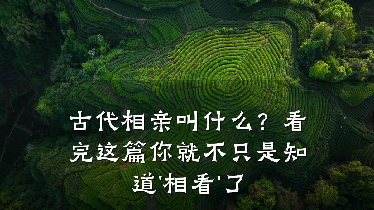 古代相亲叫什么?看完这篇你就不只是知道'相看'了