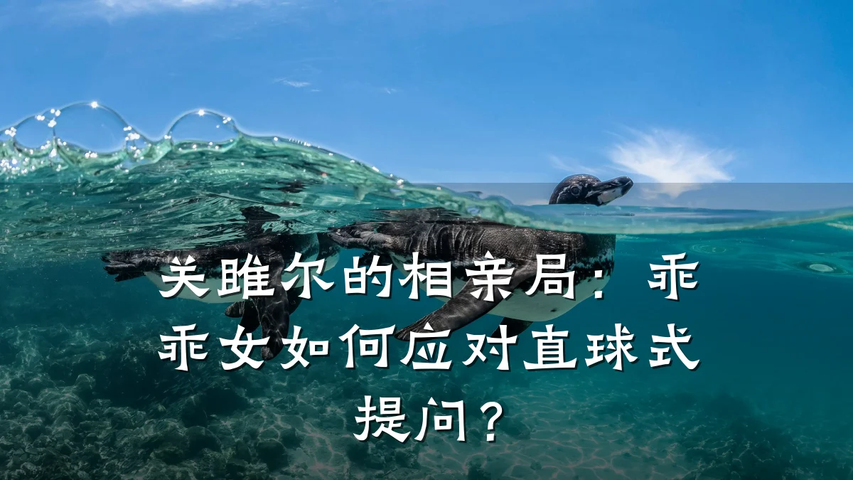 关雎尔的相亲局:乖乖女如何应对直球式提问?