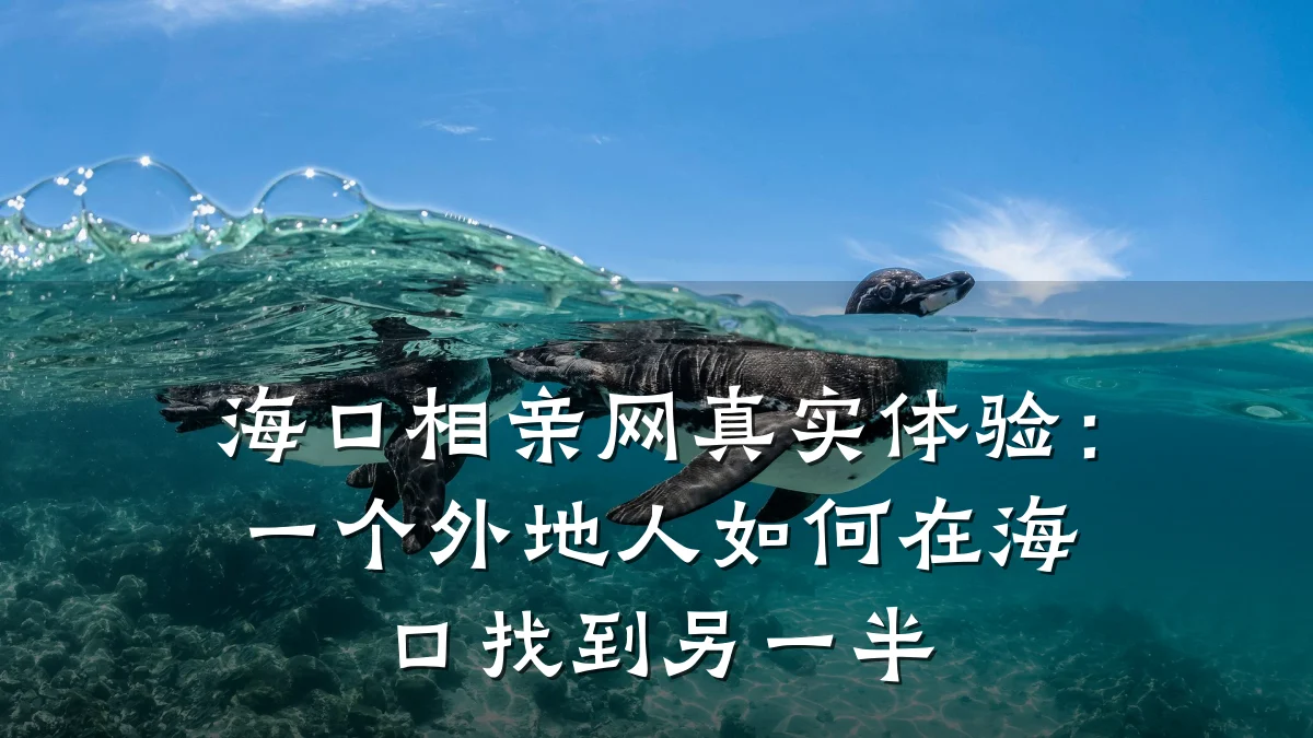海口相亲网真实体验:一个外地人如何在海口找到另一半