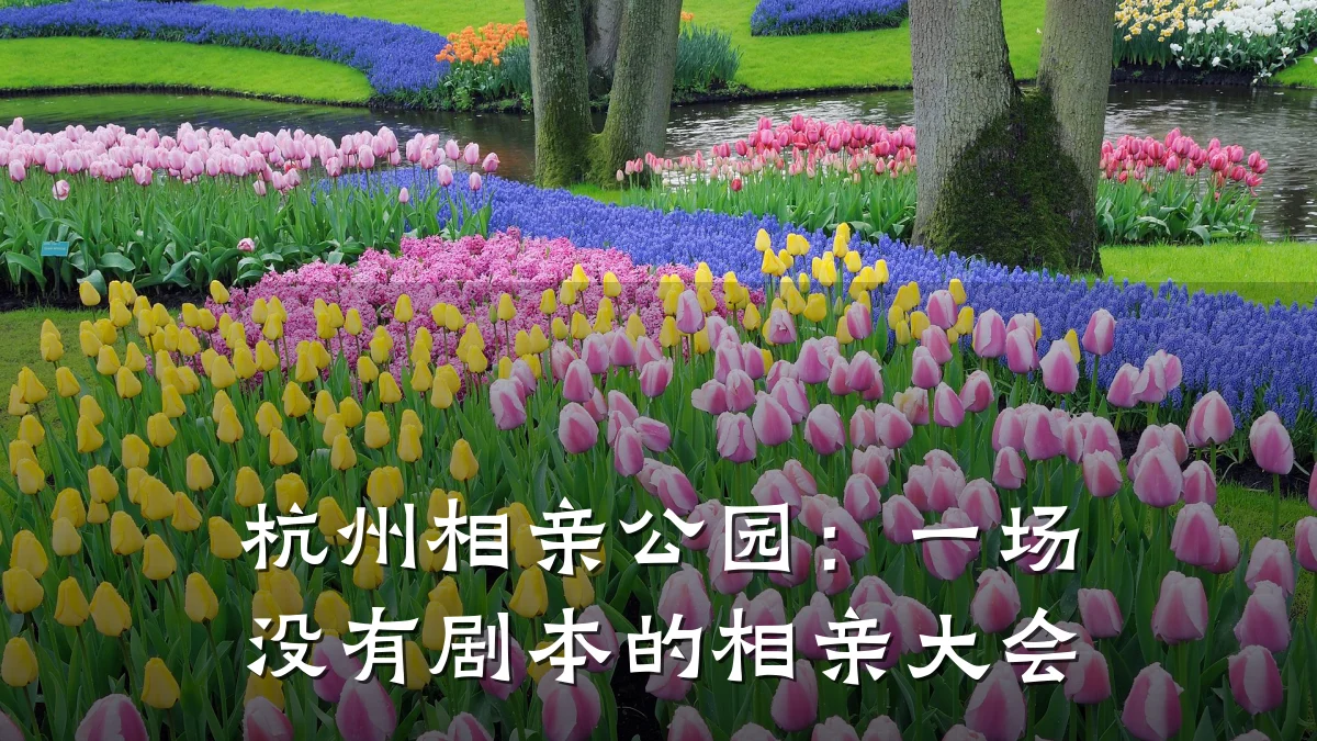 杭州相亲公园:一场没有剧本的相亲大会